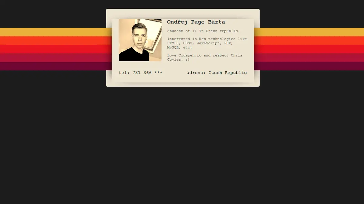 90'S Profile Card screenshot