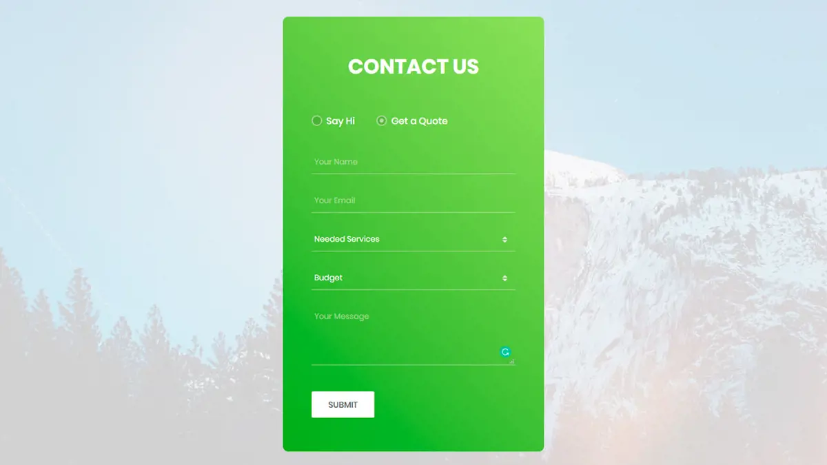Animated Contact Form screenshot