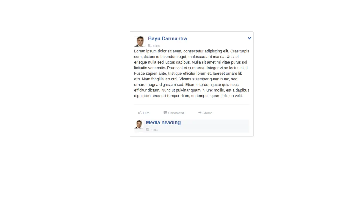 Bootstrap Facebook Post Style With Comments Box screenshot