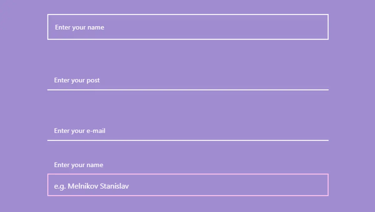 CSS Input Text - Css Fields example : CSS Mix