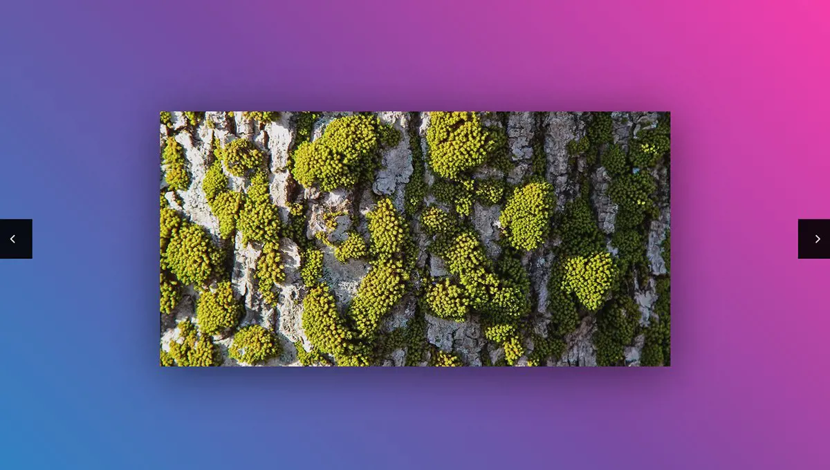CSS Sliders - Motion Blur Effect Using Svg Filters example : CSS Mix