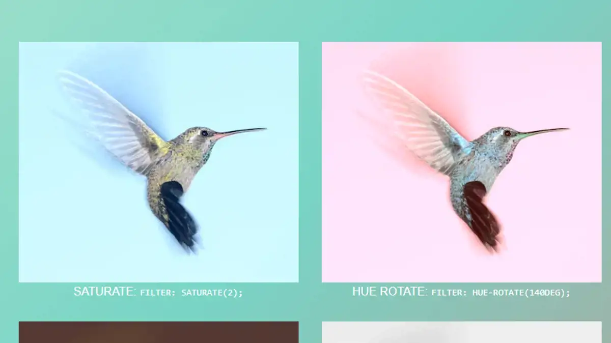 CSS filter Examples - Simple Css Image Filters example : CSS Mix