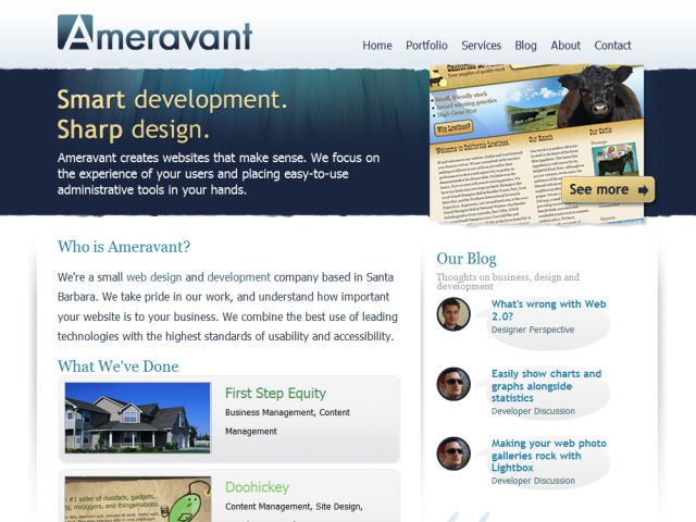 Ameravant Web Design screenshot