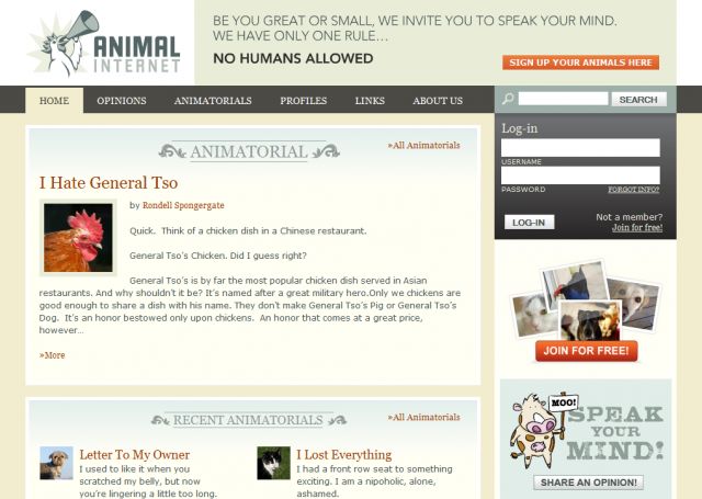Animal Internet screenshot