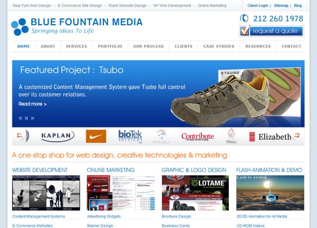 Blue Fountain Media screenshot
