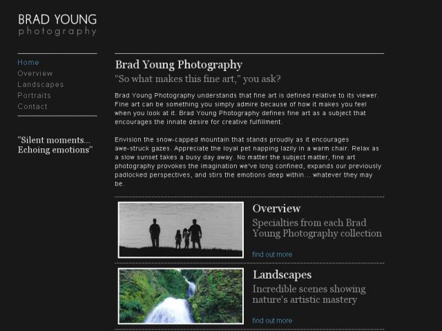 Brad Young Photography screenshot