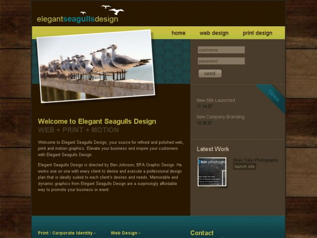 Elegant Seagulls Design screenshot