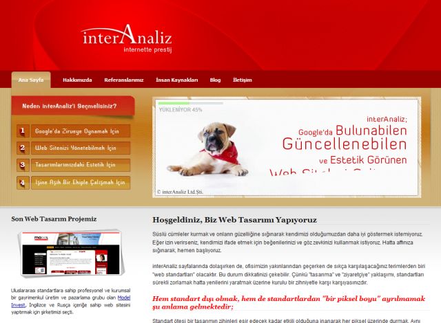 interAnaliz Web Tasarim screenshot