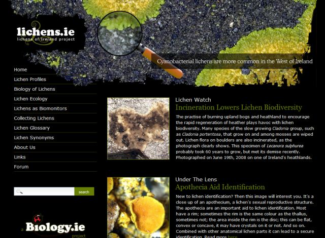 Lichens.ie screenshot