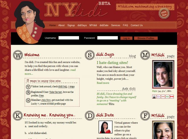 NYdidi.com screenshot