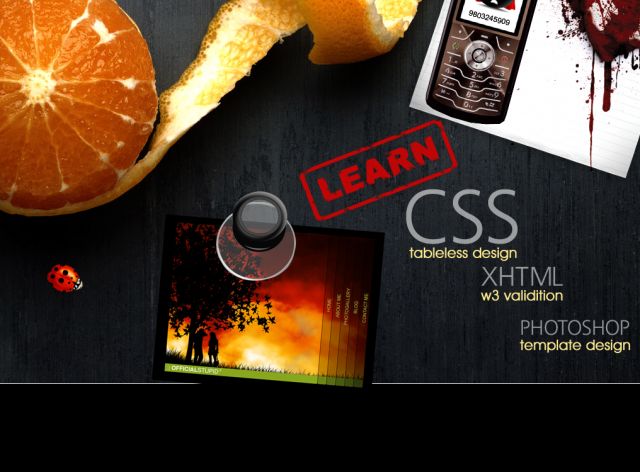 Learn CSS screenshot