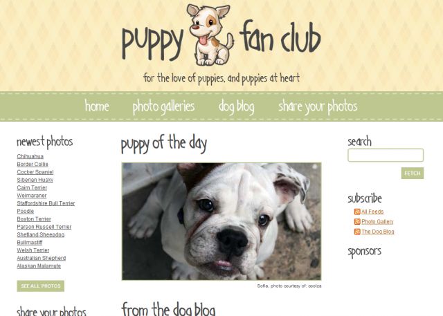 Puppy Fan Club screenshot
