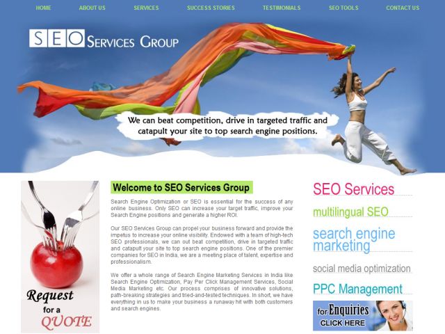 SEO Services Group screenshot