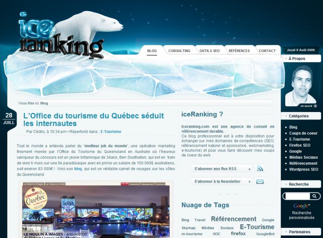 Iceranking - Consulting SEO screenshot