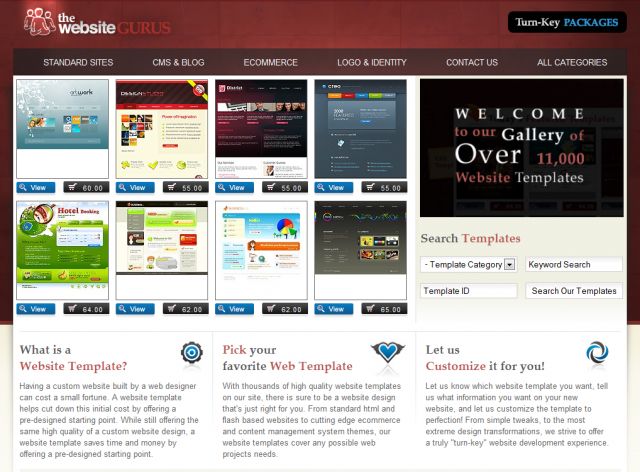 thewebsitegurus screenshot