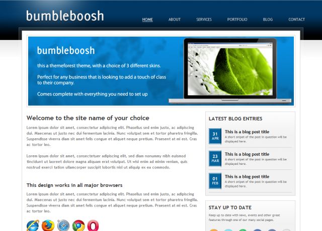 BumbleBoosh screenshot