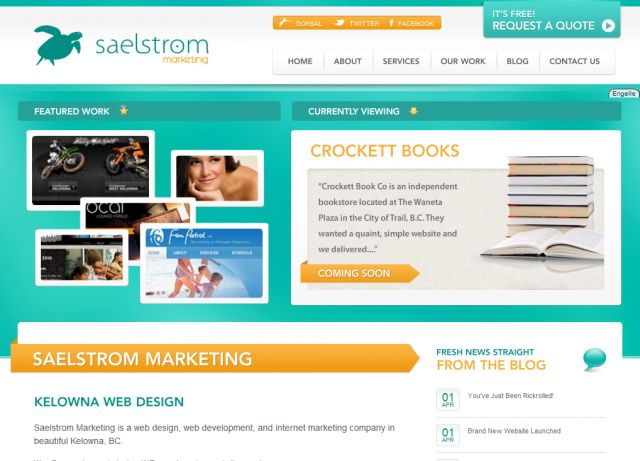 Saelstrom Marketing screenshot