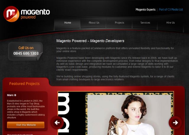 Magento Developer screenshot