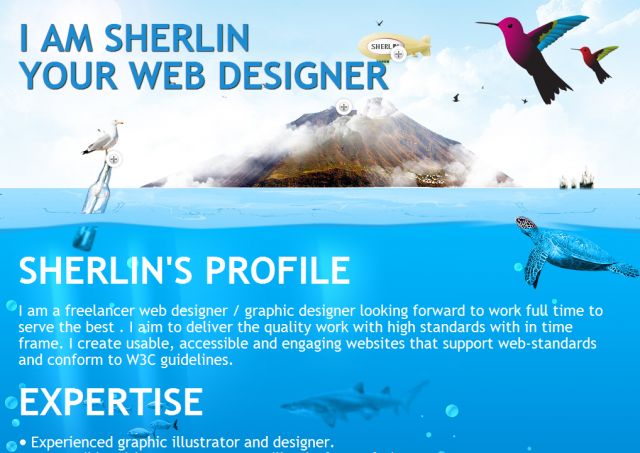 UI Web Designer screenshot