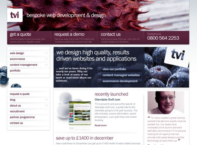 TVI Web Design screenshot