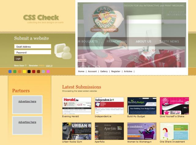 CSS Check screenshot