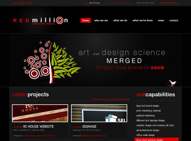 Web design Galway screenshot
