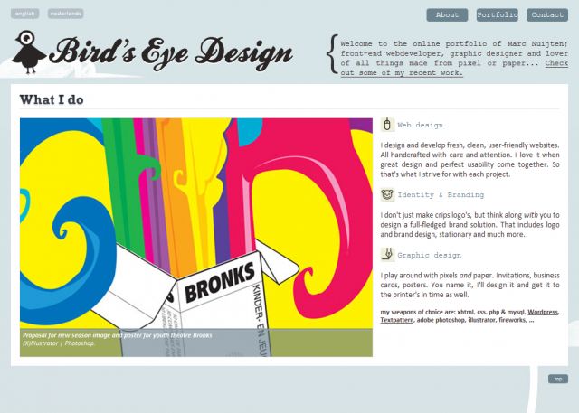 Bird's Eye Design screenshot