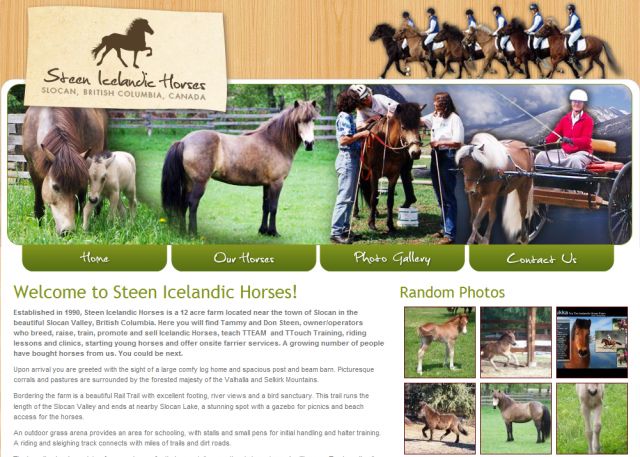 Steen Icelandic Horses screenshot