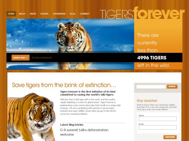tigers forever screenshot