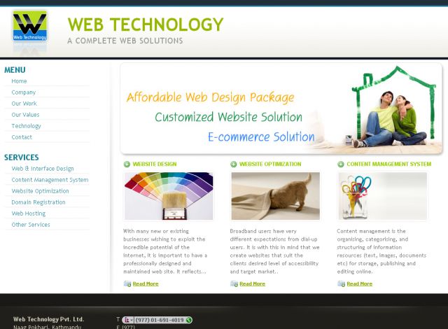 Web Design Nepal screenshot