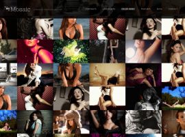 Mosaic PREMIUM THEME