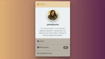 Accordion Profile