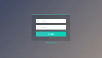 Login Form