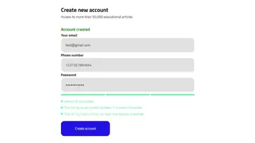 Vue Input Validator