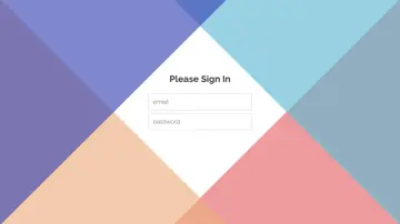 Login Form