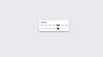 Custom Range Input