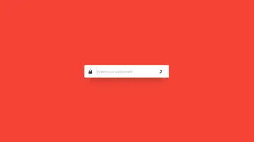 Password Error Animation