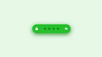 Password Input Field
