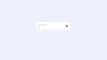 Password Error Animation