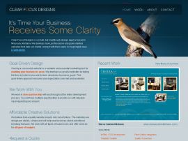 Clear Focus Designs