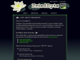 FriedByte