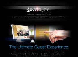 Intelity Solutions
