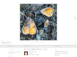 Mrpunkin Photography
