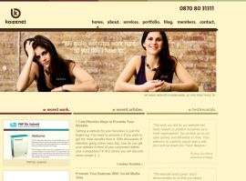 Kaizenet Website