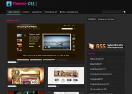 Themes CSS