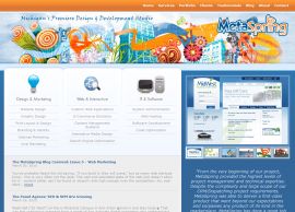 MetaSpring: Michigan Website