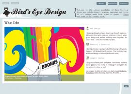Bird's Eye Design