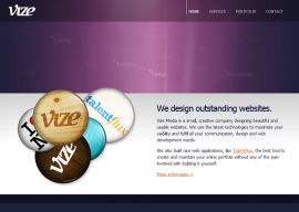 Vize Media